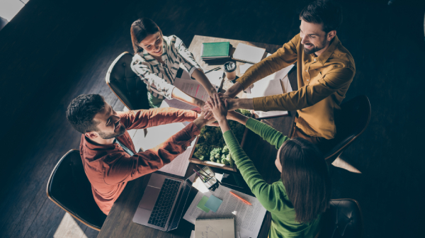 Team Collaboration